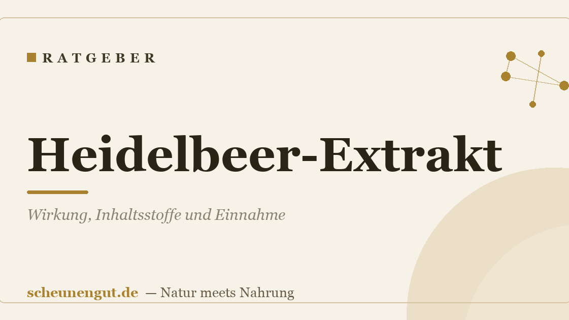 Heidelbeer-Extrakt: Wirkung, Inhaltsstoffe und Einnahme