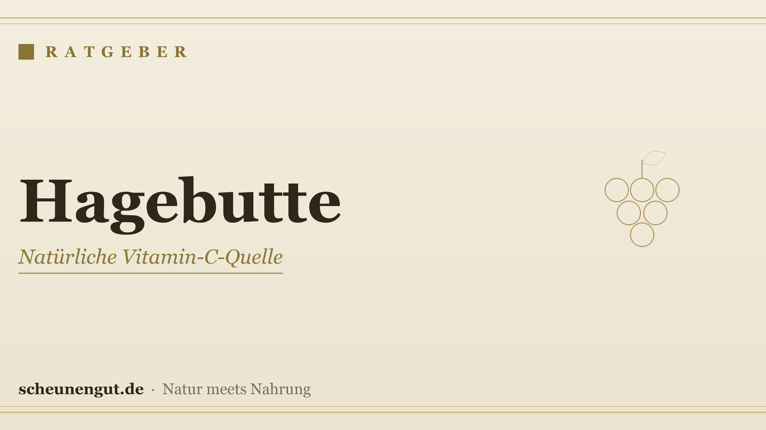 Hagebutte: Vitamin C & Anwendung – Ratgeber von Scheunengut