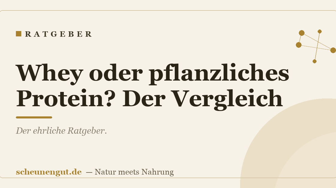 Whey oder pflanzliches Protein? Der Vergleich