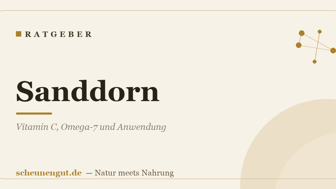 Sanddorn: Vitamin C, Omega-7 und Anwendung