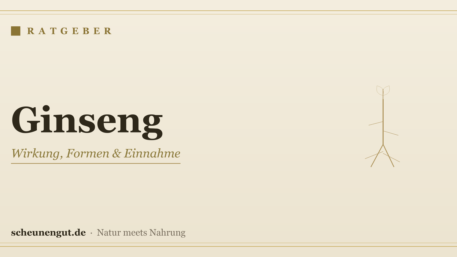 Ginseng – Ratgeber von Scheunengut