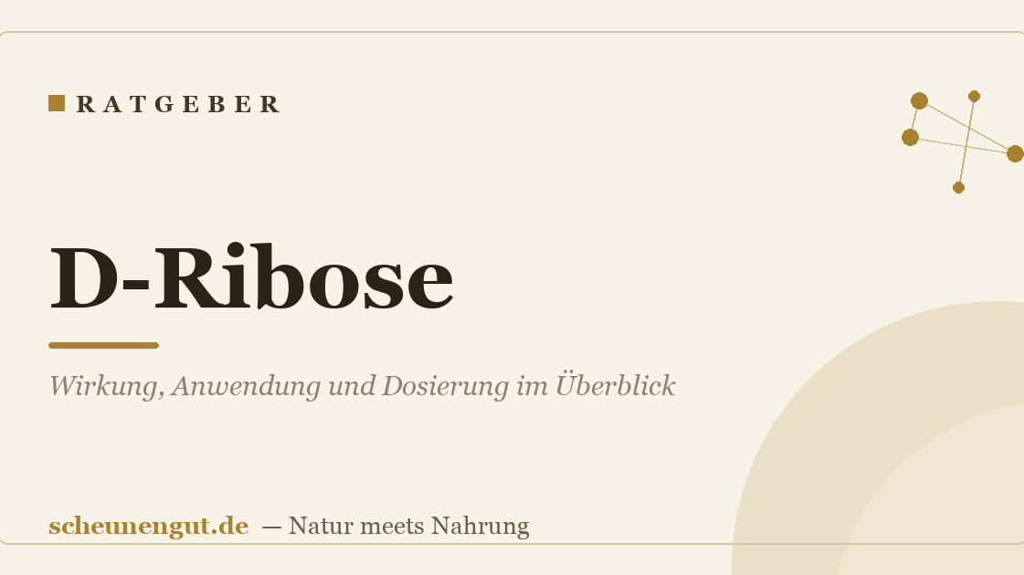 D-Ribose: Wirkung, Anwendung und Dosierung im Überblick