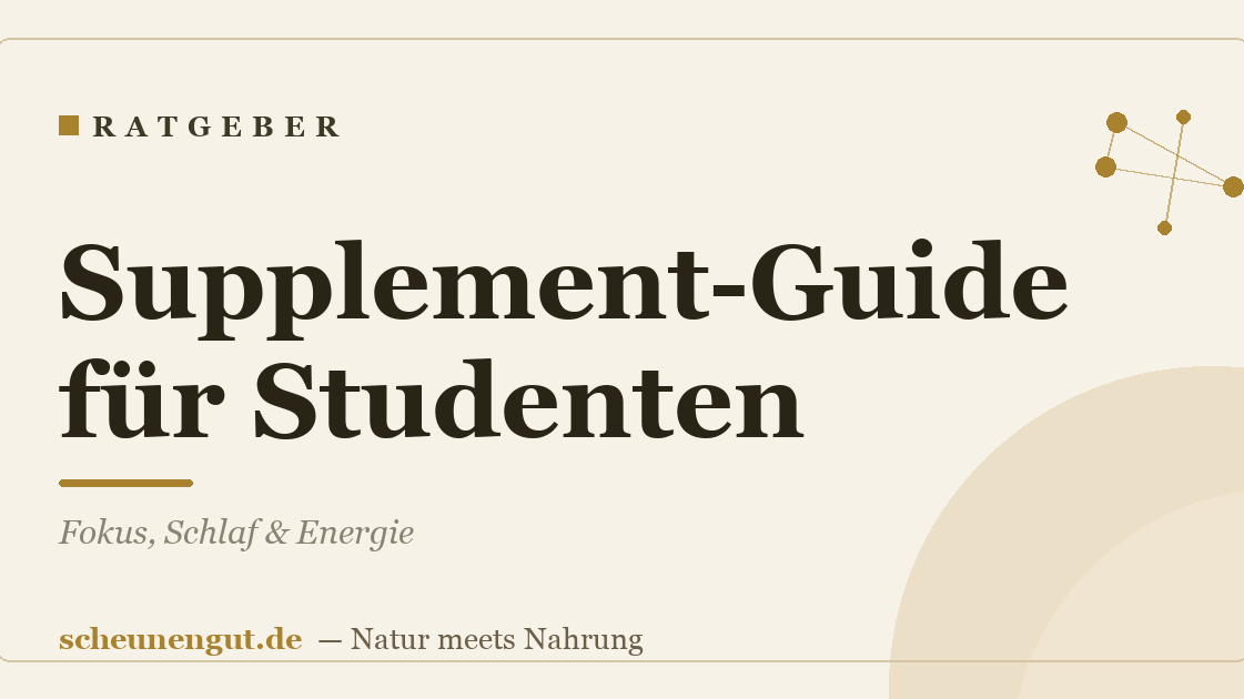 Supplement-Guide für Studenten: Fokus, Schlaf & Energie