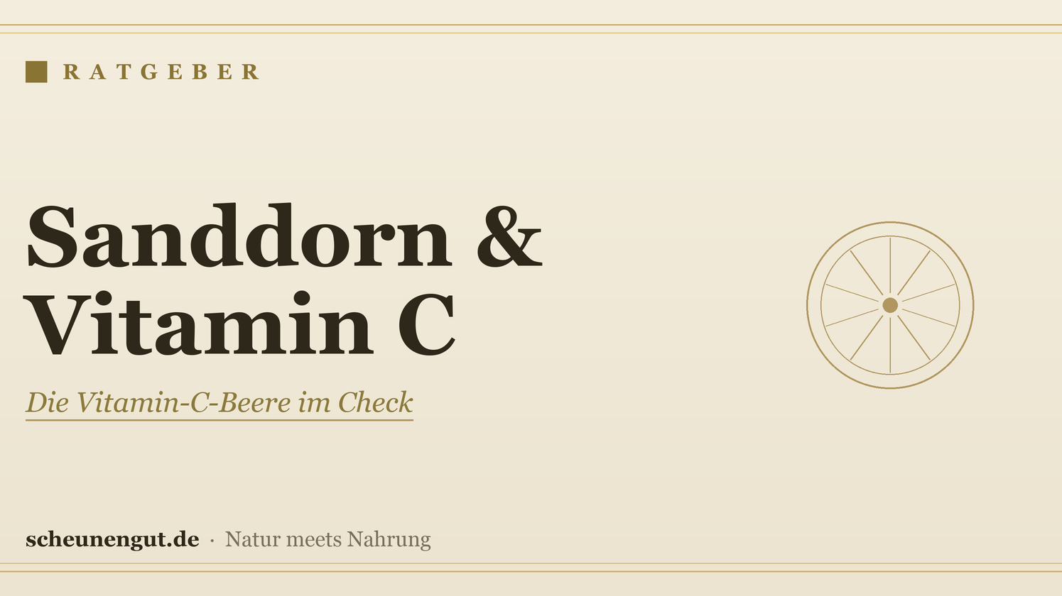 Sanddorn: Vitamin C & Wirkung im Überblick – Ratgeber von Scheunengut