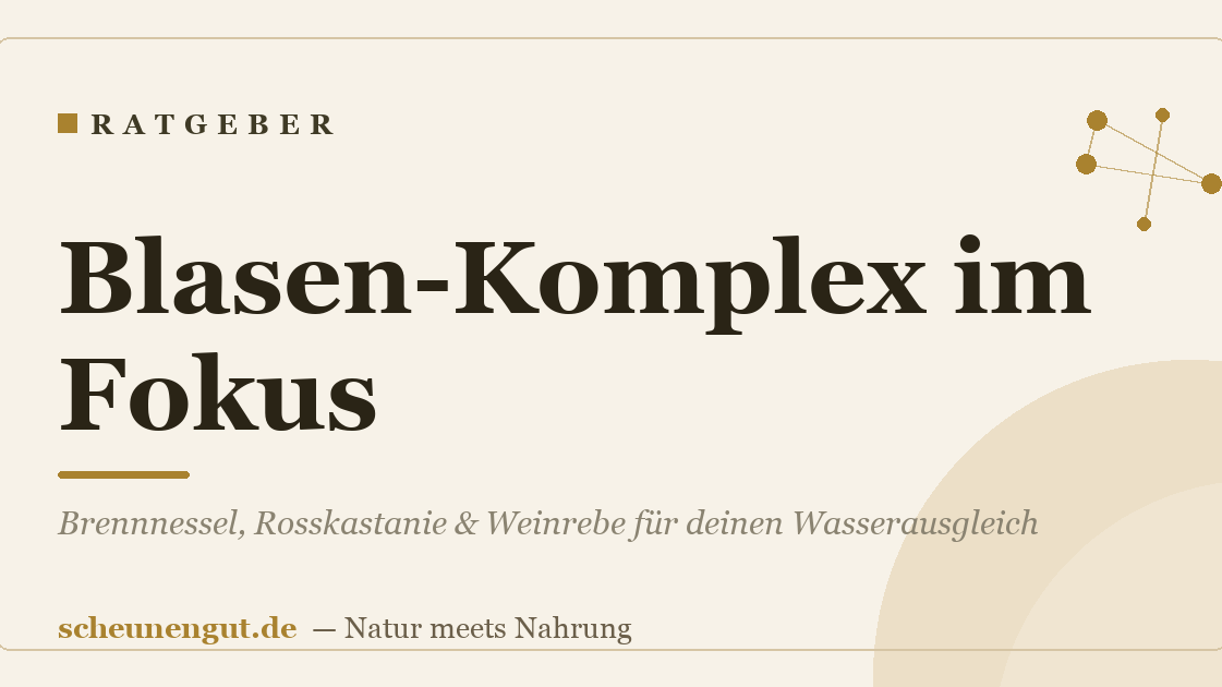 Blasen-Komplex im Fokus: Brennnessel, Rosskastanie & Weinrebe für deinen Wasserausgleich