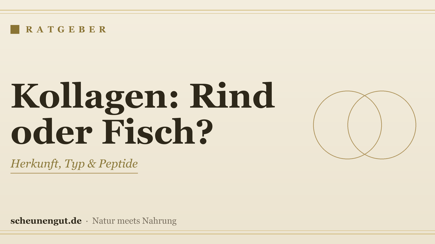 Kollagen: Rind oder Fisch (marin)? Der Vergleich – Ratgeber von Scheunengut