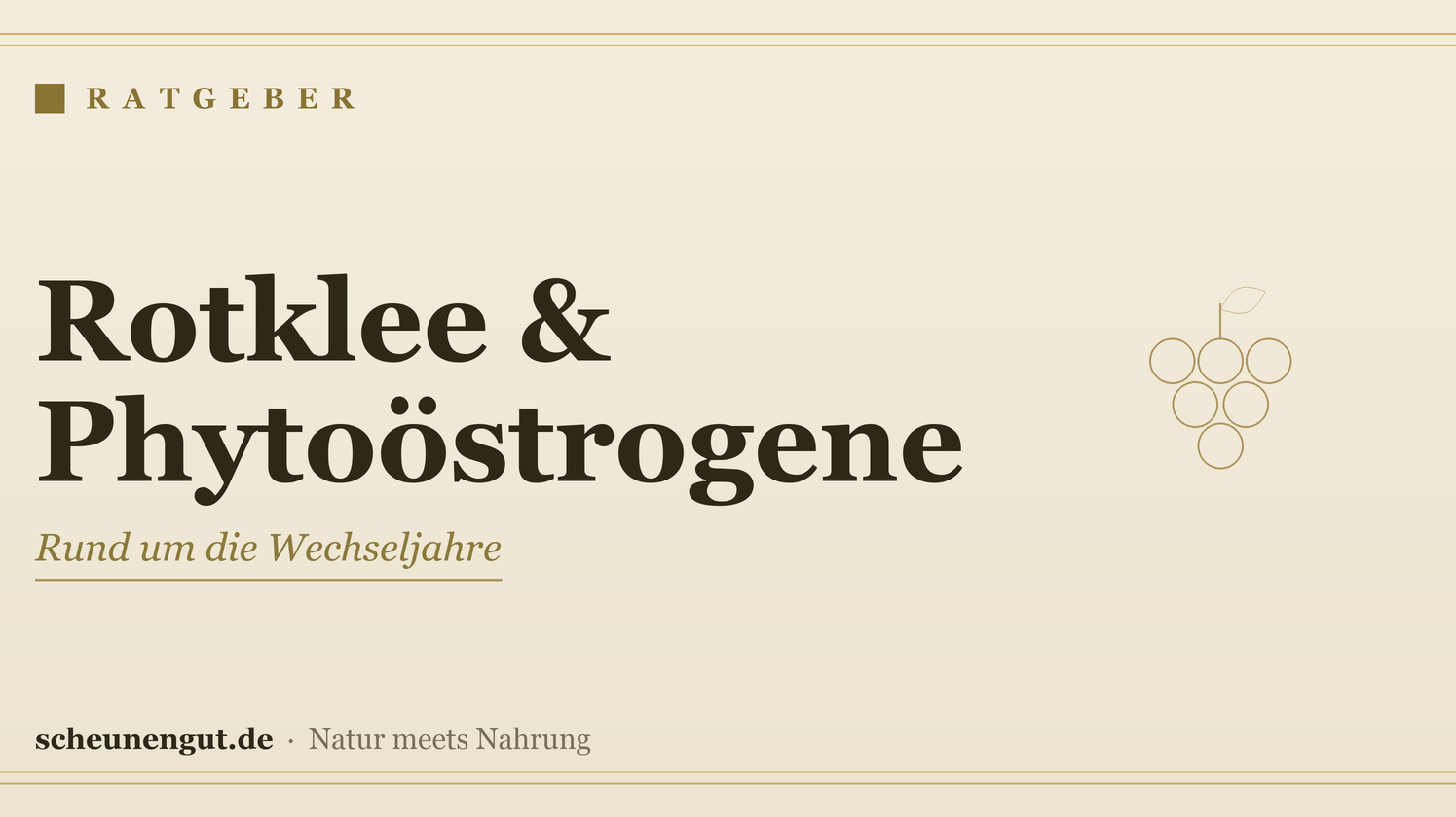 Rotklee & Phytoöstrogene in den Wechseljahren – Ratgeber von Scheunengut
