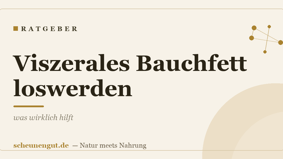 Viszerales Bauchfett loswerden – was wirklich hilft
