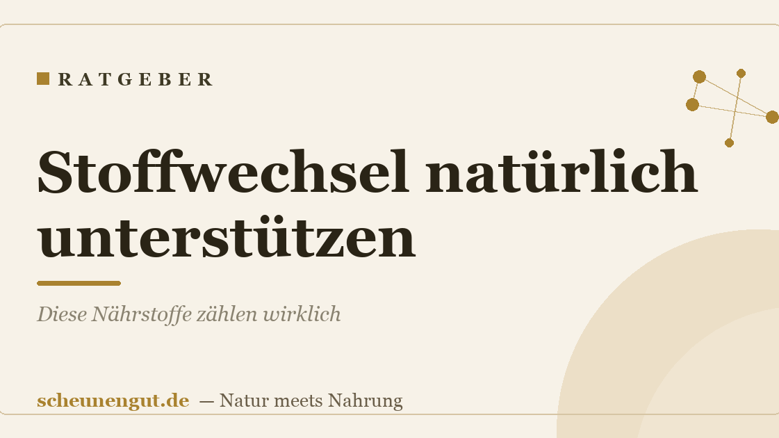 Stoffwechsel natürlich unterstützen: Diese Nährstoffe zählen wirklich