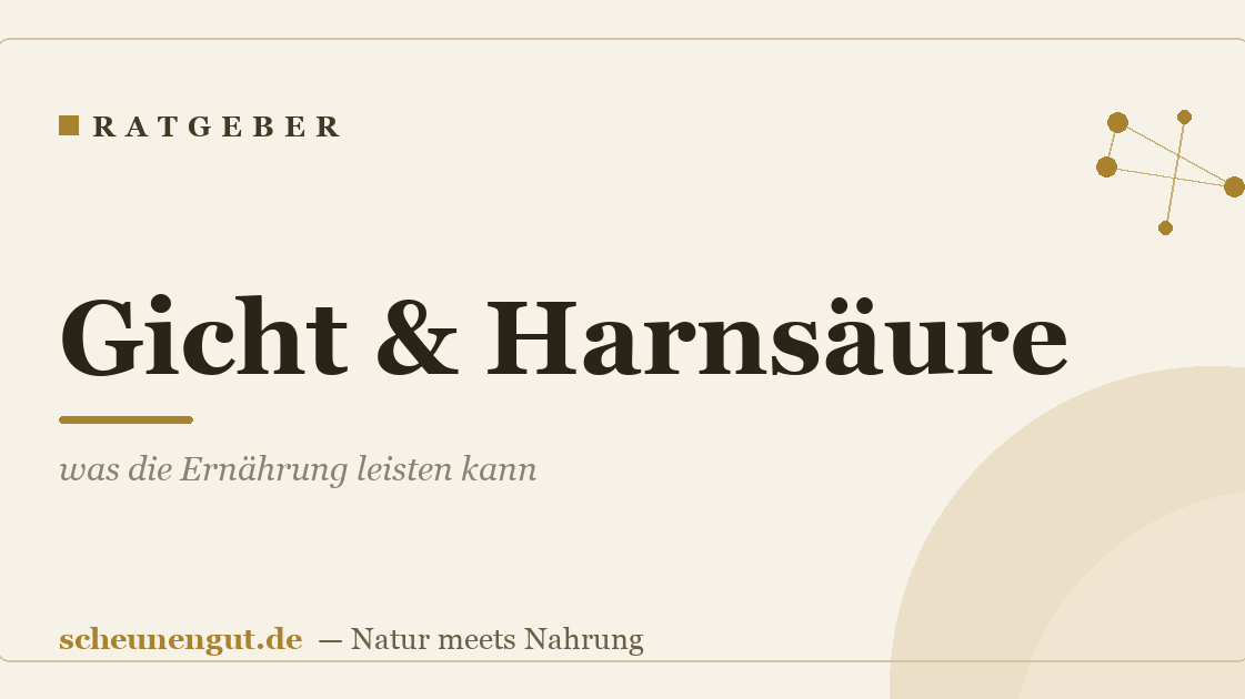 Gicht & Harnsäure – was die Ernährung leisten kann
