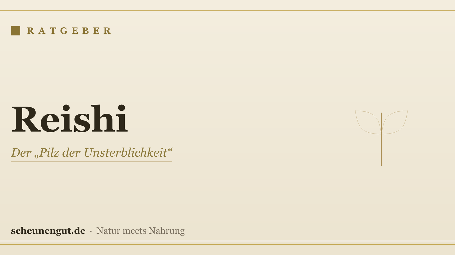 Reishi: Wirkung & Anwendung – Ratgeber von Scheunengut