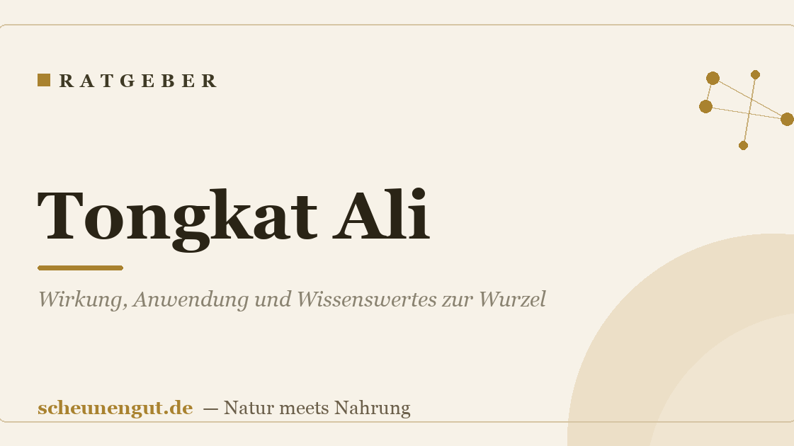 Tongkat Ali: Wirkung, Anwendung und Wissenswertes zur Wurzel