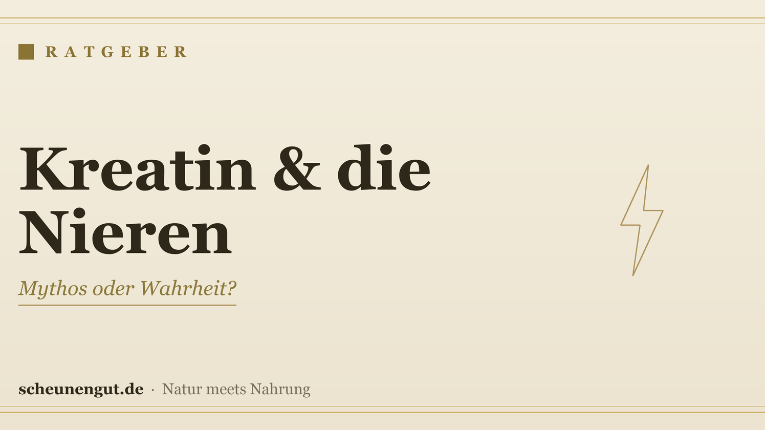 Kreatin: Nebenwirkungen & Nieren-Mythos – Ratgeber von Scheunengut