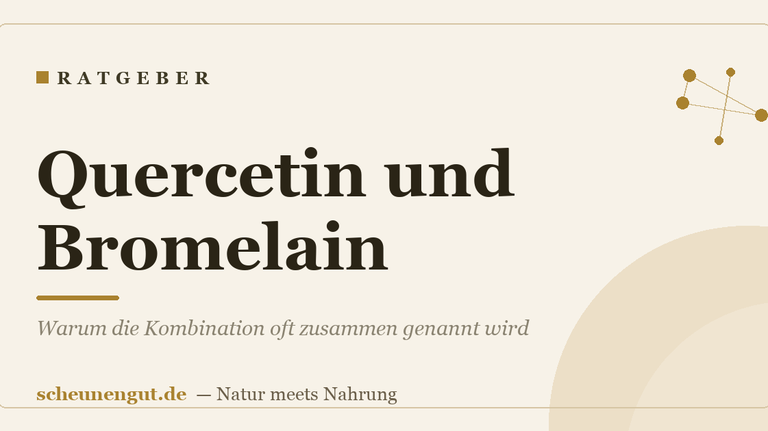 Quercetin und Bromelain: Warum die Kombination oft zusammen genannt wird