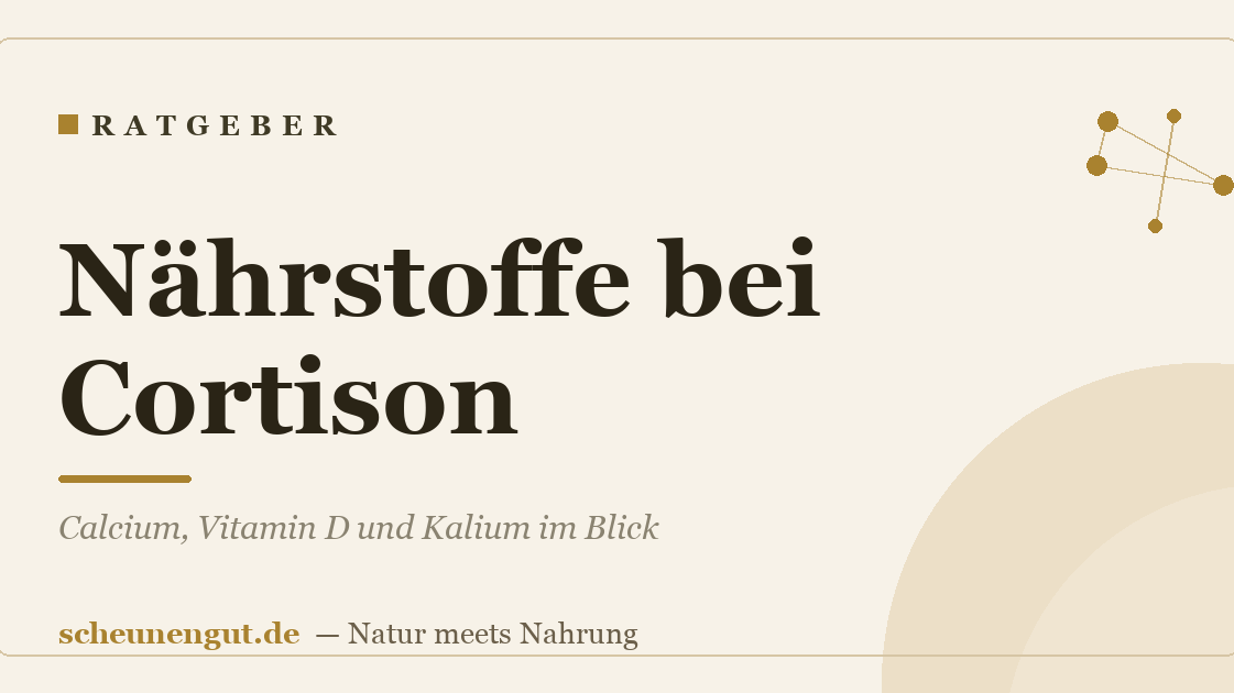 Nährstoffe bei Cortison: Calcium, Vitamin D und Kalium im Blick