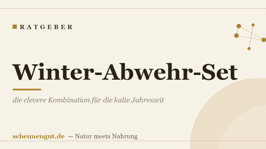 Winter-Abwehr-Set: die clevere Kombination für die kalte Jahreszeit