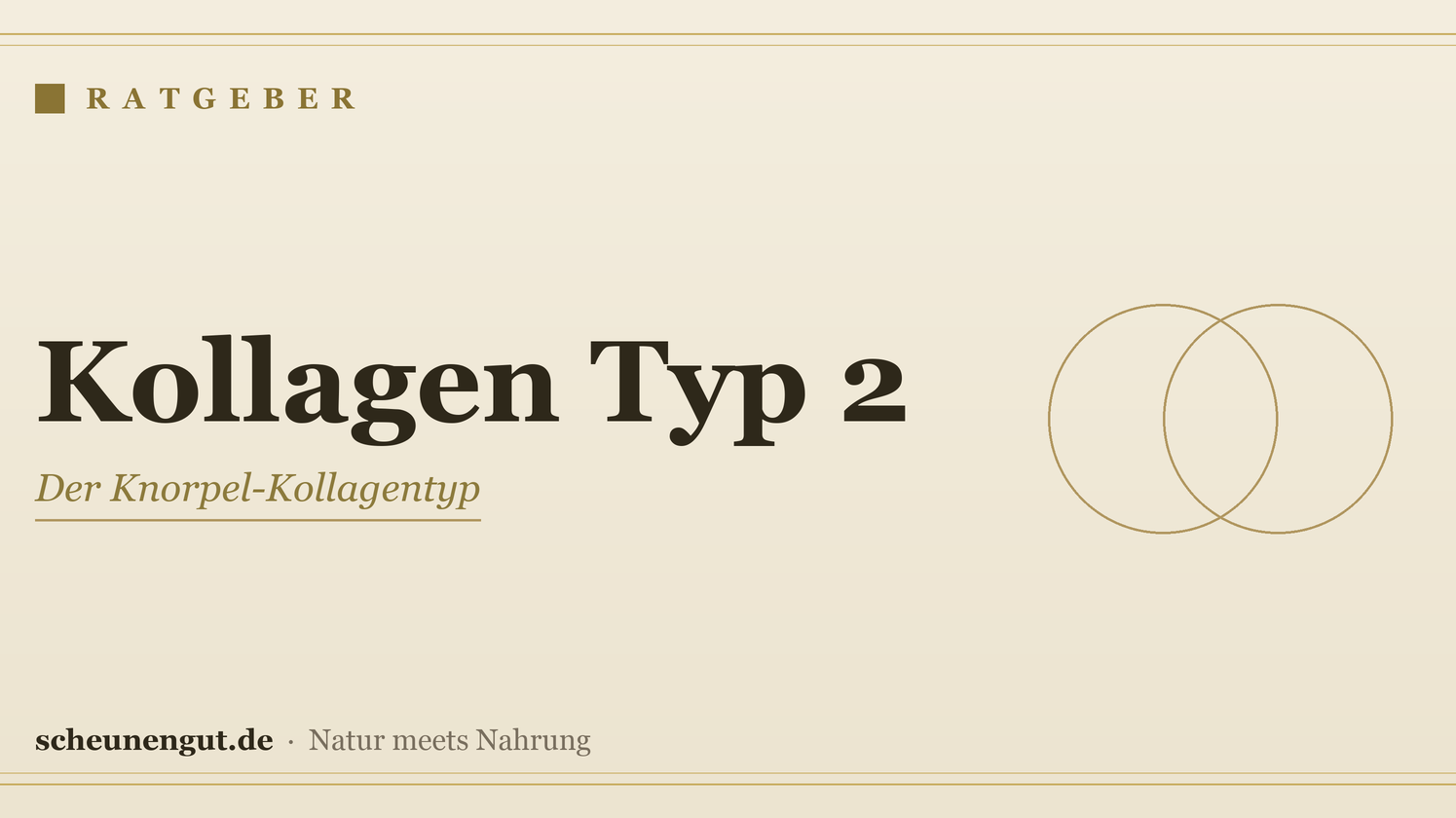Kollagen Typ 2: der Knorpel-Typ für die Gelenke – Ratgeber von Scheunengut