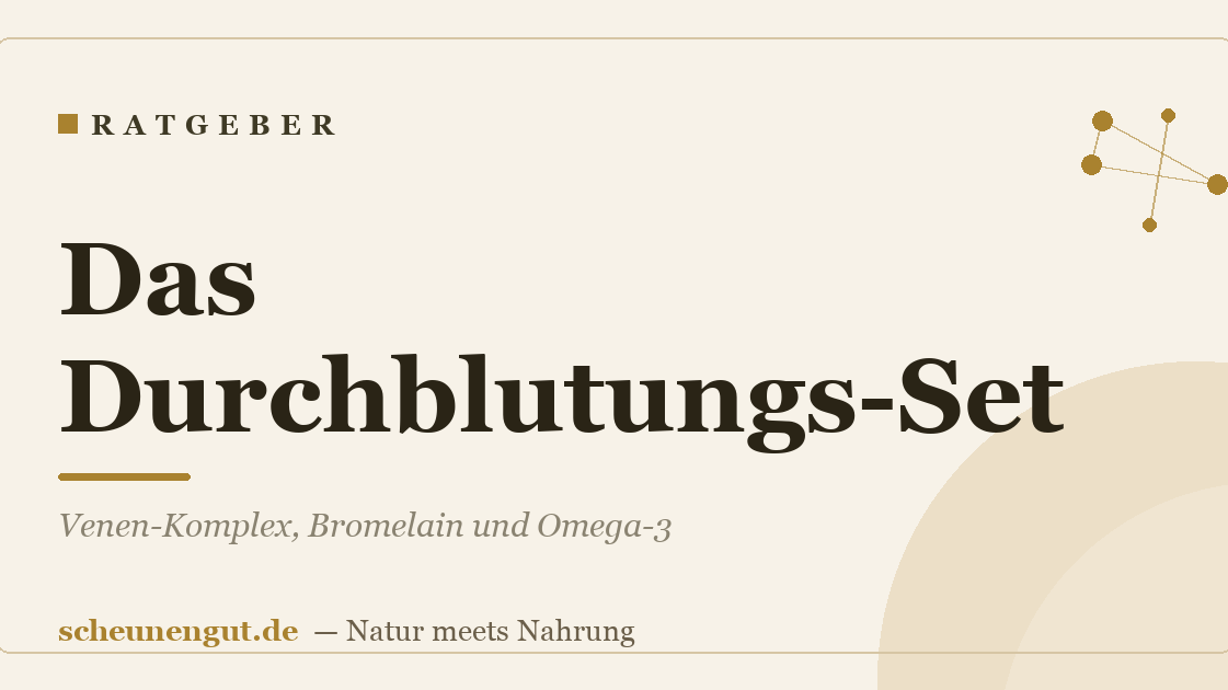 Das Durchblutungs-Set: Venen-Komplex, Bromelain und Omega-3