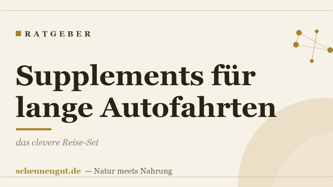 Supplements für lange Autofahrten: das clevere Reise-Set