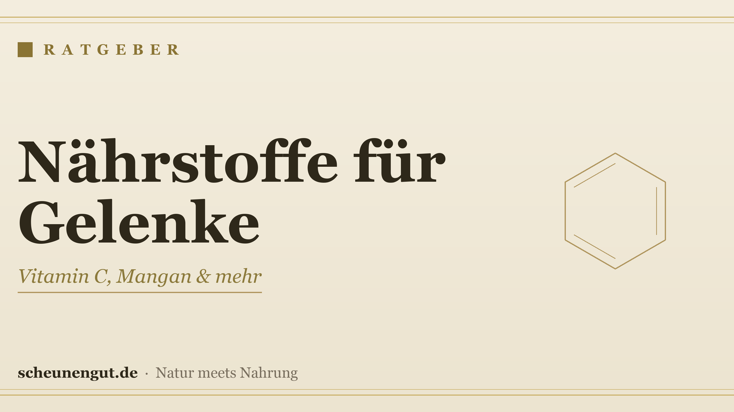 Nährstoffe rund um die Gelenke – Ratgeber von Scheunengut