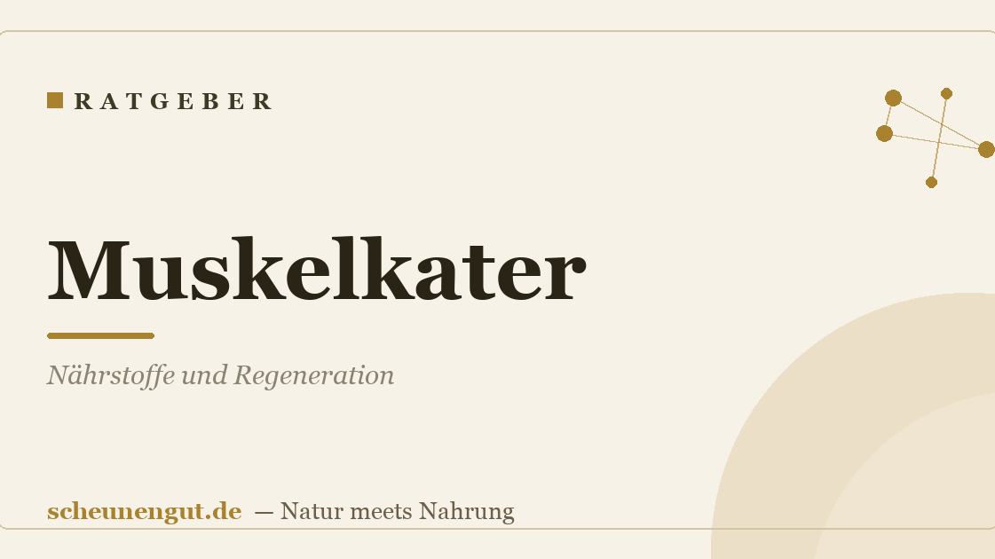 Muskelkater: Nährstoffe und Regeneration