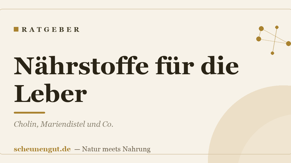 Nährstoffe für die Leber: Cholin, Mariendistel und Co.