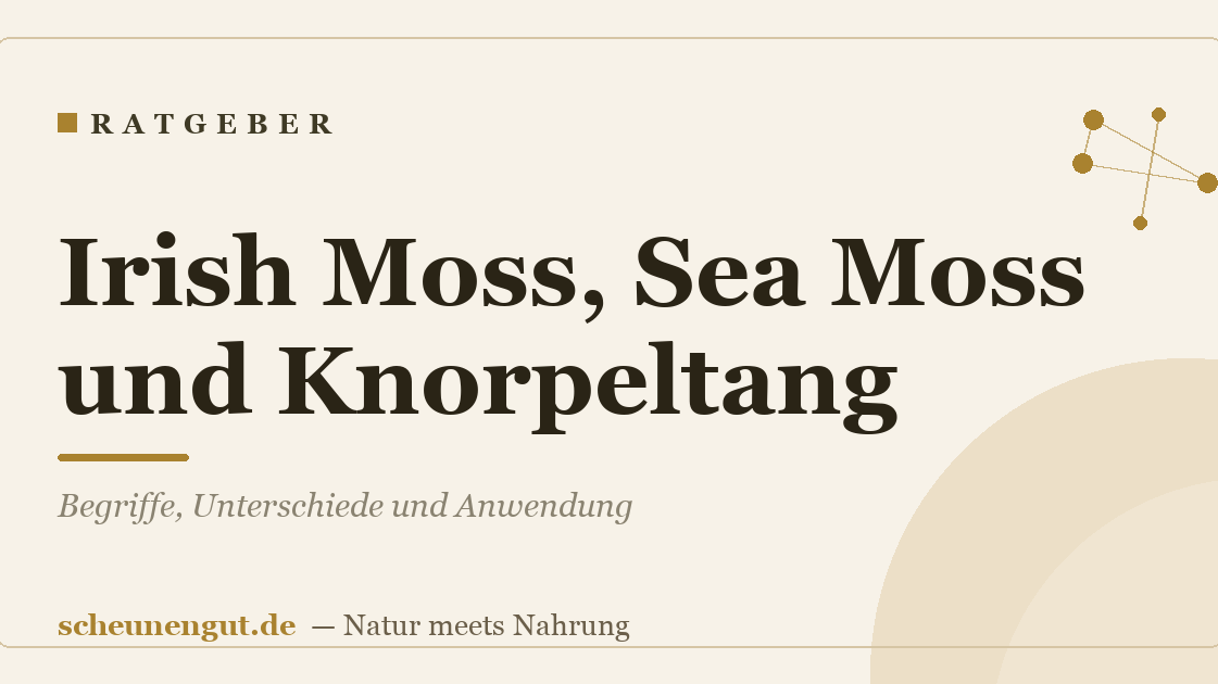 Irish Moss, Sea Moss und Knorpeltang: Begriffe, Unterschiede und Anwendung