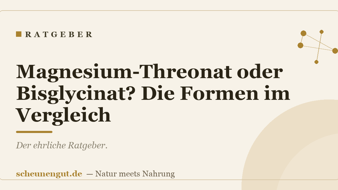 Magnesium-Threonat oder Bisglycinat? Die Formen im Vergleich