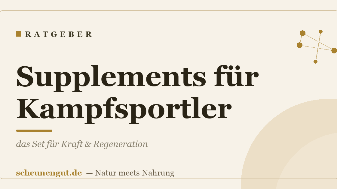 Supplements für Kampfsportler: das Set für Kraft & Regeneration