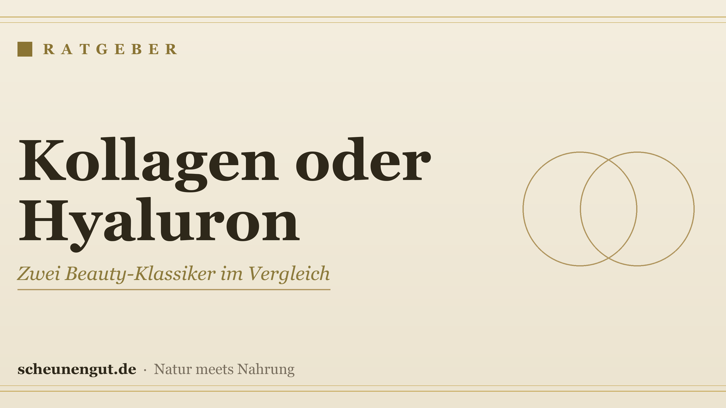 Kollagen oder Hyaluron: Was ist besser für die Haut? – Ratgeber von Scheunengut