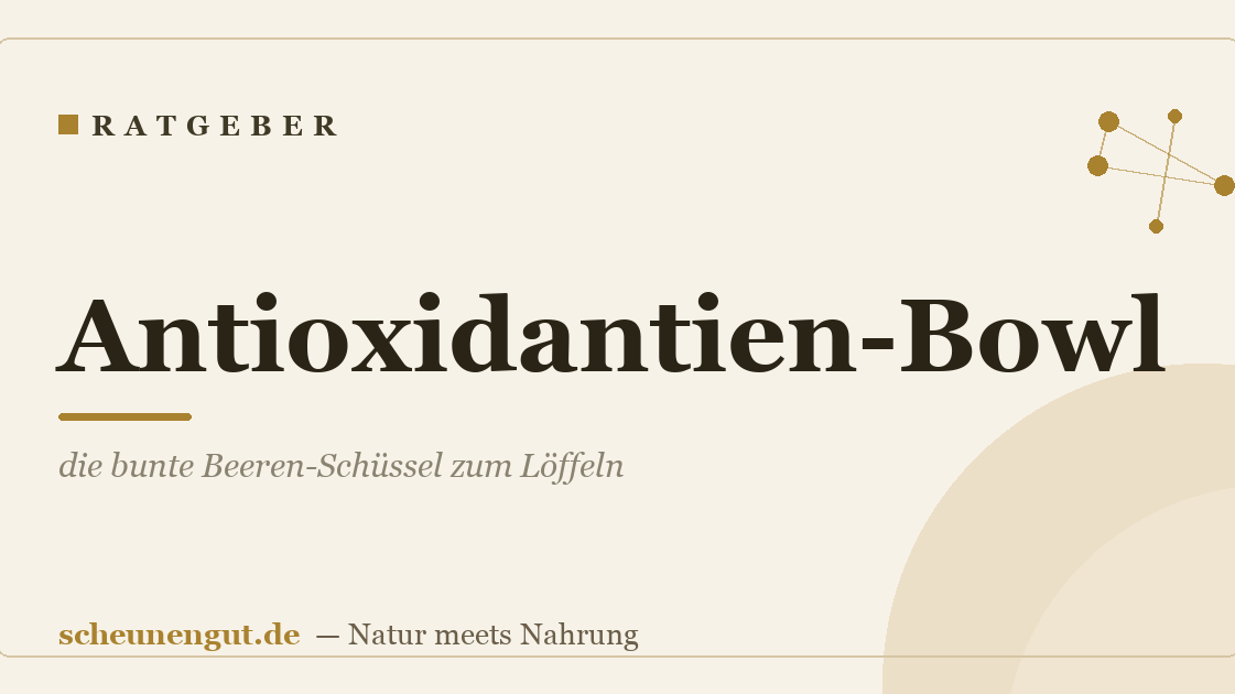 Antioxidantien-Bowl: die bunte Beeren-Schüssel zum Löffeln