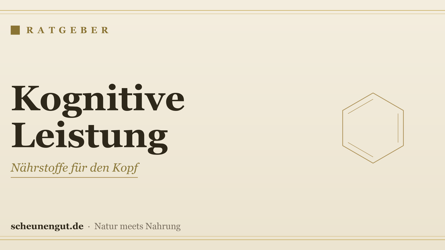 Nährstoffe für die kognitive Leistung – Ratgeber von Scheunengut