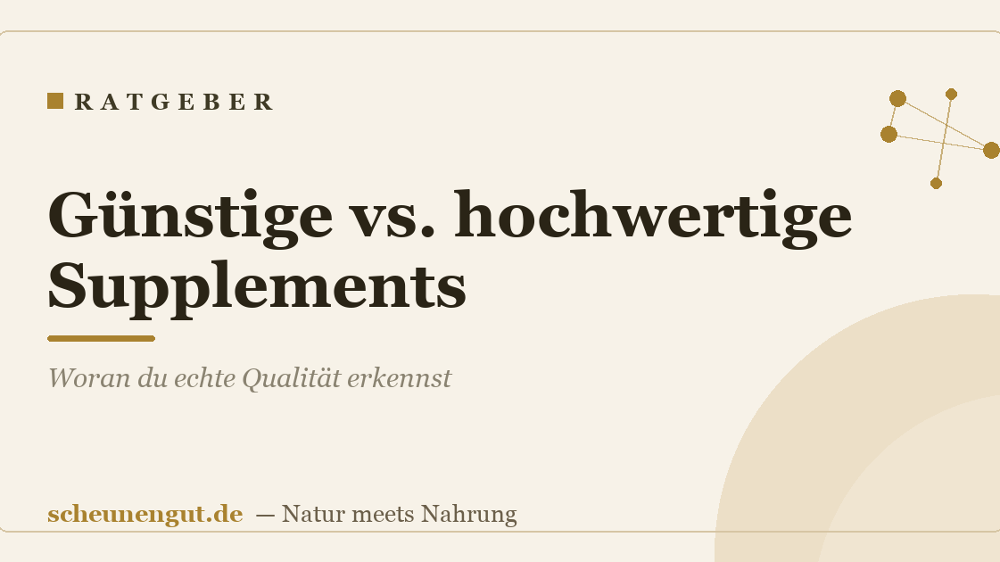Günstige vs. hochwertige Supplements: Woran du echte Qualität erkennst