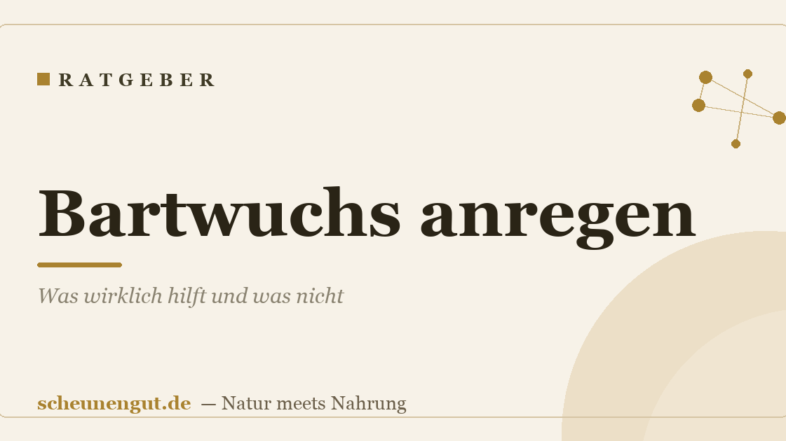 Bartwuchs anregen: Was wirklich hilft und was nicht