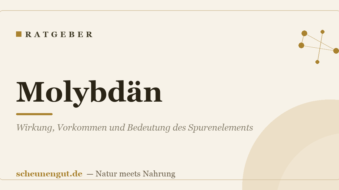 Molybdän: Wirkung, Vorkommen und Bedeutung des Spurenelements