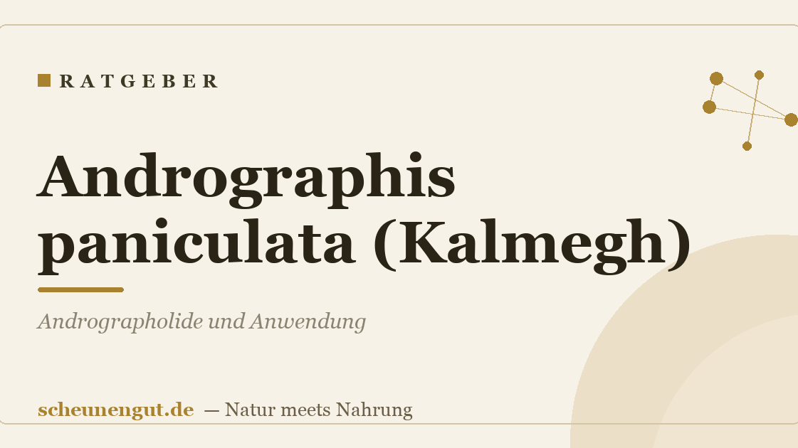 Andrographis paniculata (Kalmegh): Andrographolide und Anwendung