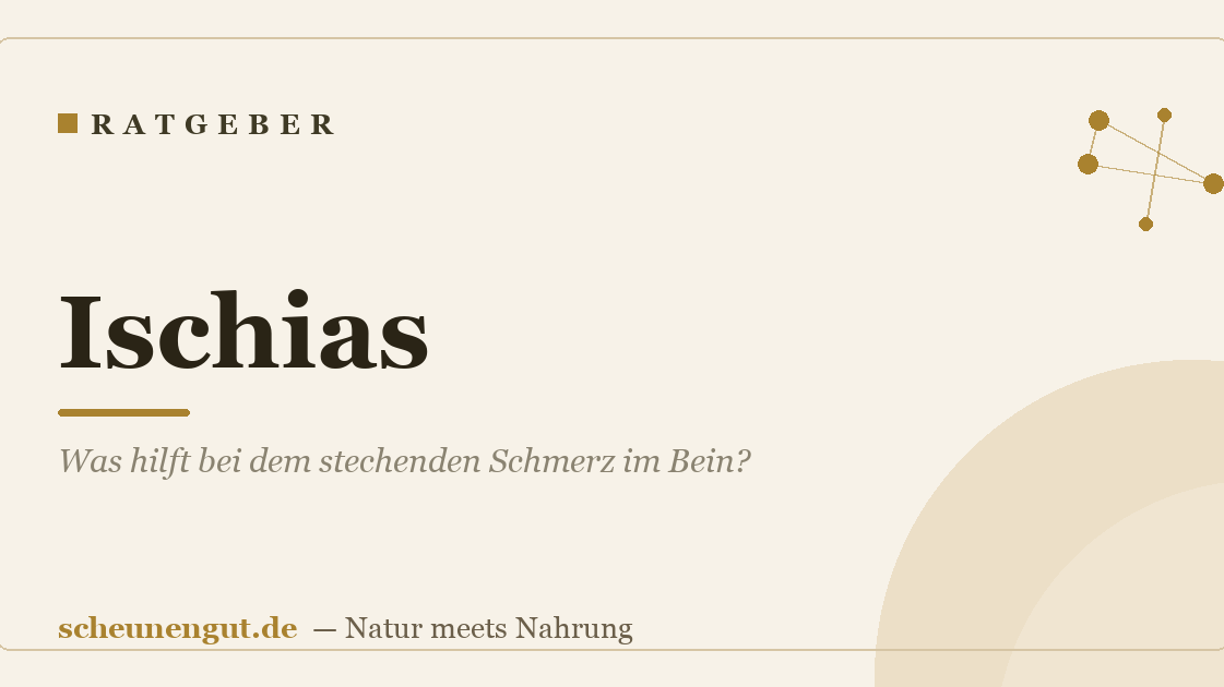 Ischias: Was hilft bei dem stechenden Schmerz im Bein?