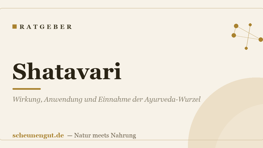 Shatavari: Wirkung, Anwendung und Einnahme der Ayurveda-Wurzel