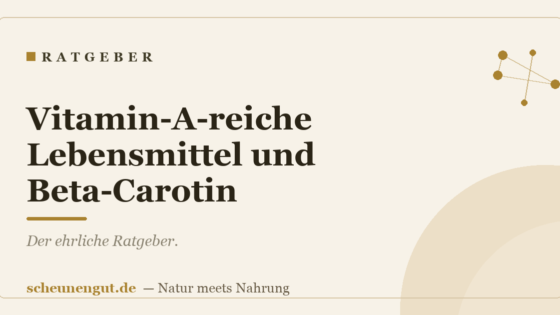 Vitamin-A-reiche Lebensmittel und Beta-Carotin