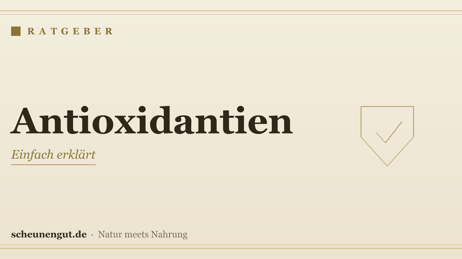 Was sind Antioxidantien? Einfach erklärt – Ratgeber von Scheunengut