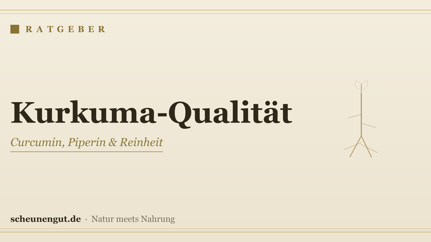 Kurkuma-Qualität erkennen – Ratgeber von Scheunengut