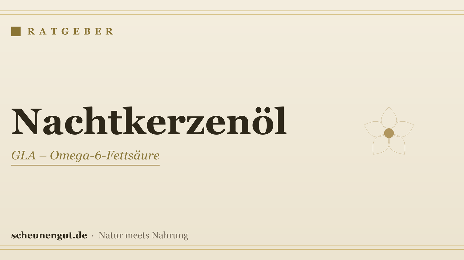 Nachtkerzenöl (GLA): Haut & Anwendung – Ratgeber von Scheunengut