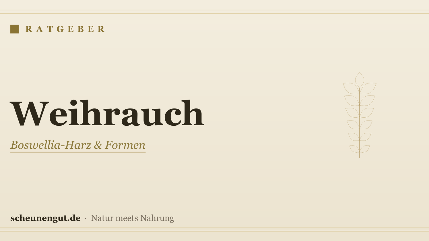 Weihrauch (Boswellia): Herkunft & Anwendung – Ratgeber von Scheunengut