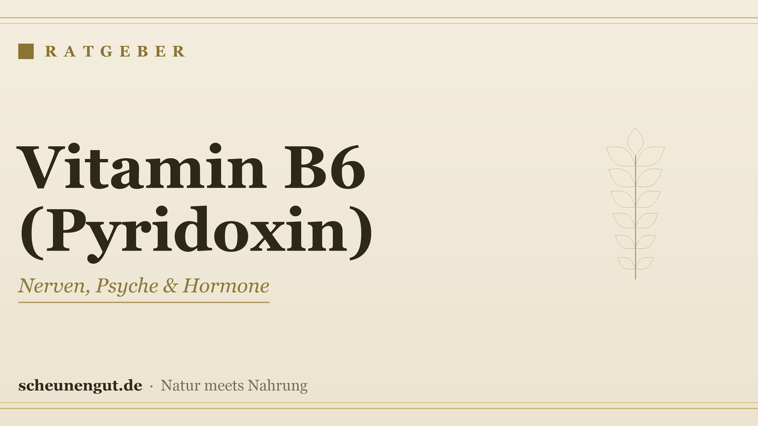 Vitamin B6 (Pyridoxin): Wirkung, Bedarf & Einnahme – Ratgeber von Scheunengut