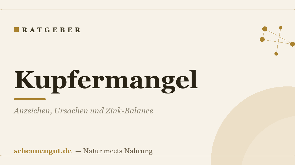 Kupfermangel: Anzeichen, Ursachen und Zink-Balance
