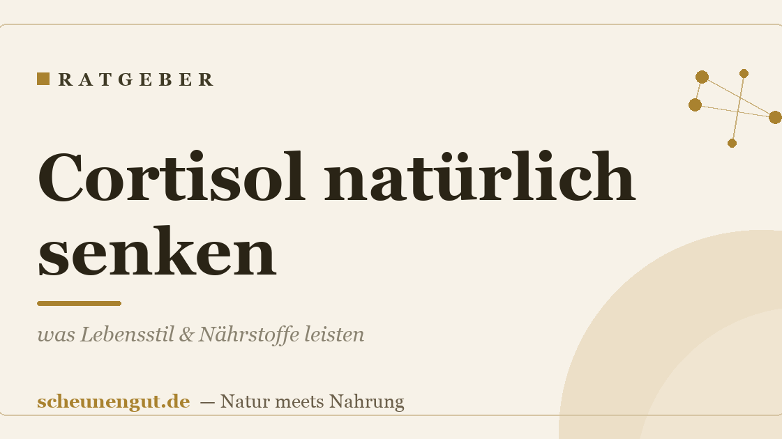 Cortisol natürlich senken – was Lebensstil & Nährstoffe leisten