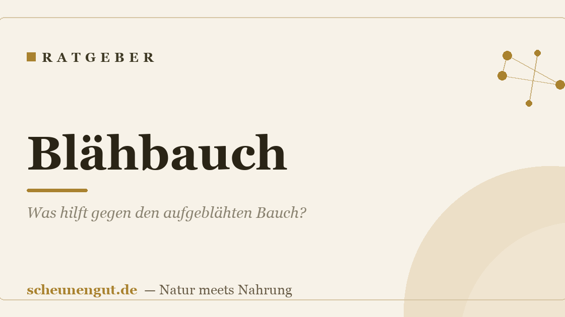 Blähbauch: Was hilft gegen den aufgeblähten Bauch?