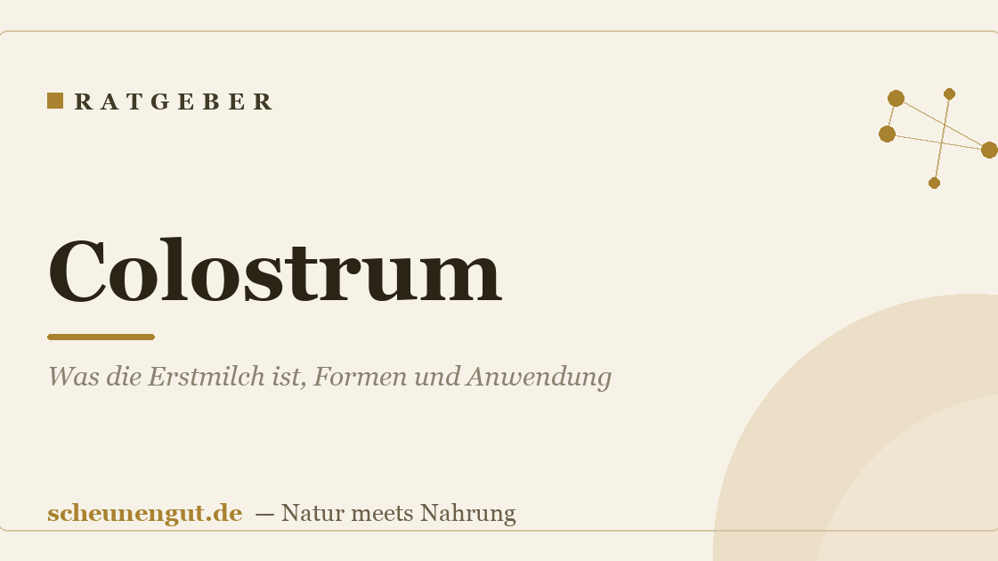 Colostrum: Was die Erstmilch ist, Formen und Anwendung