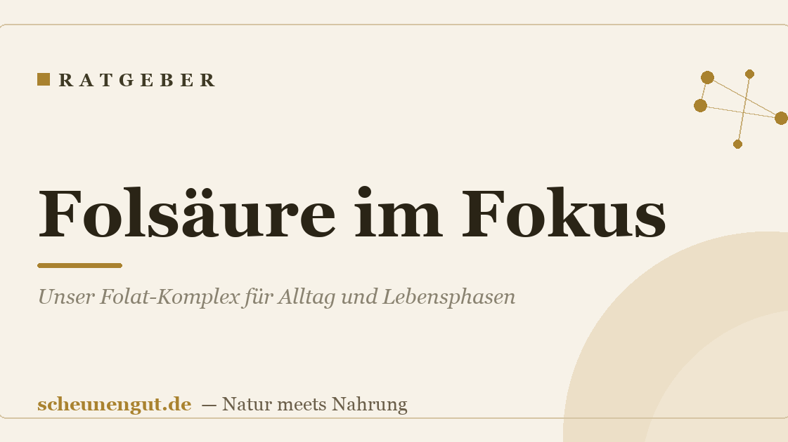 Folsäure im Fokus: Unser Folat-Komplex für Alltag und Lebensphasen