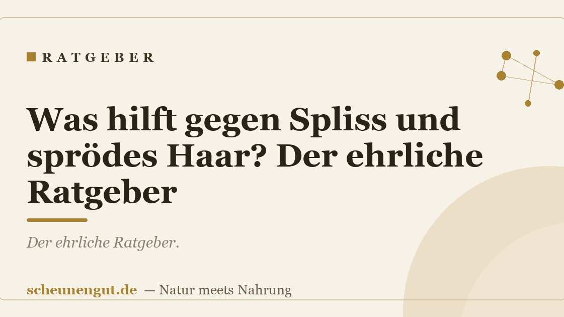Was hilft gegen Spliss und sprödes Haar? Der ehrliche Ratgeber